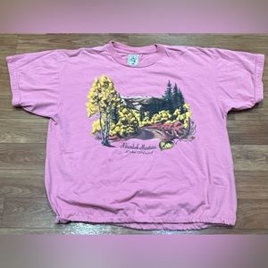 Vintage 96’ Adirondack Mountains Tee Shirt Women’s Size XL